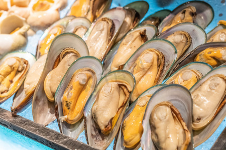 海鲜水饺摄影照片_美食中午海鲜扇贝美食自助餐用餐摄影图配图