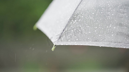 清明摄影照片_雨天雨滴打在伞上落下