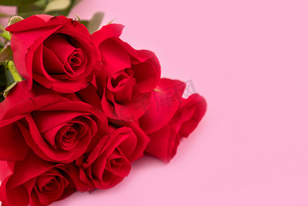 玫瑰花红玫瑰创意粉色背景情人节摄影图配图