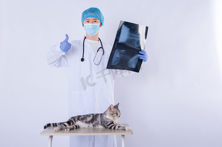 点赞摄影照片_男医生和猫白天兽医和猫室内拿着片子点赞摄影图配图