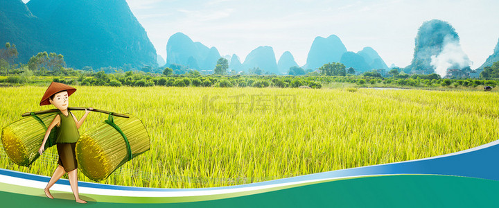 珍惜粮食背景图片_绿色农业农村有机大米稻田风光背景