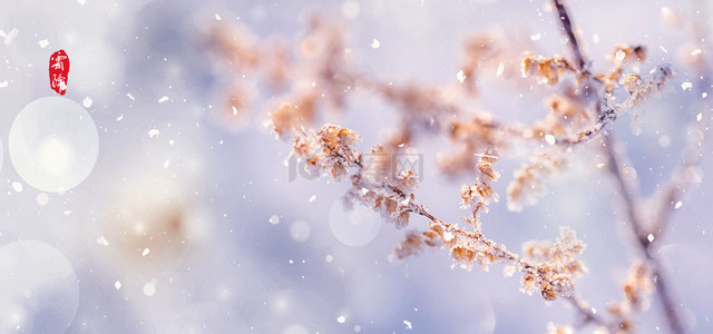 清新雪背景图片_中国节气霜降文艺简约背景