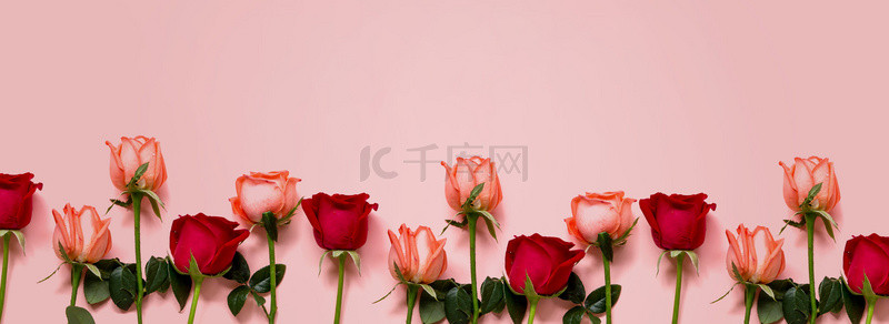 情人节鲜花背景图片_简约浪漫唯美鲜花玫瑰花底纹海报