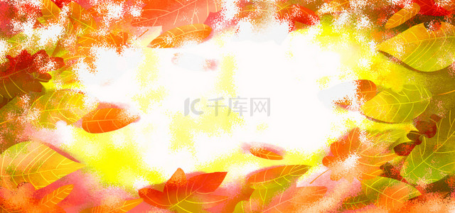 枫叶红背景图片_二十四节气秋分红枫叶背景