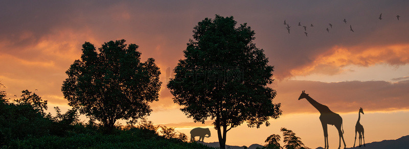 非洲大象背景图片_原始草原非洲草原剪影背景