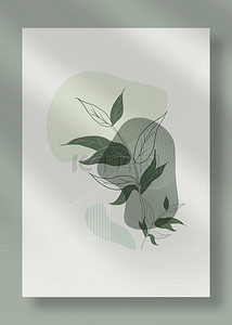 莫兰迪绿色抽象几何植物line draw背景