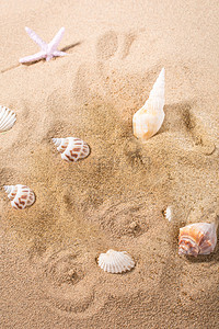 海边沙滩贝壳背景图片_简约海边沙滩清凉夏日背景