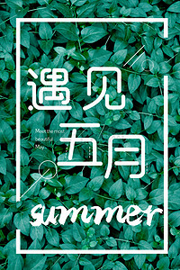 清新遇见背景图片_绿色文艺清新遇见五月夏天海报