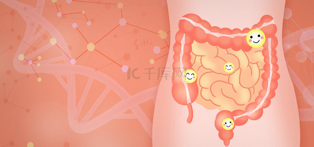 医疗背景图片_简约肠道健康医疗背景