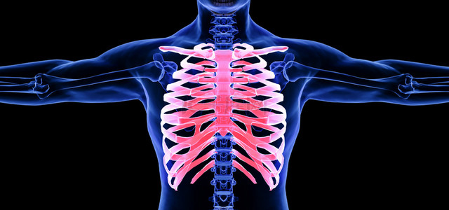 C4D创意医疗胸骨人体骨骼结构