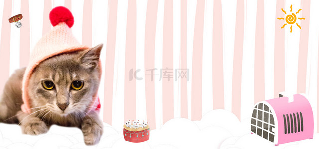 宠物猫广告背景图片_萌宠店宠物用品促销展板