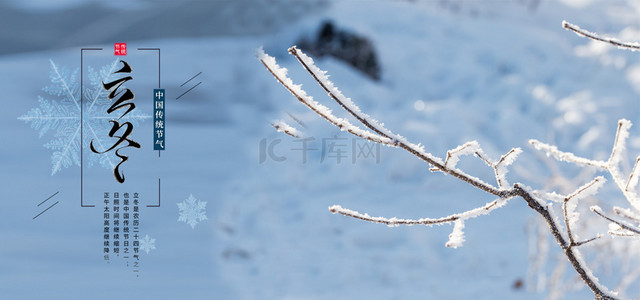 雪背景图片_立冬节气雾凇枝条雪花飘雪背景