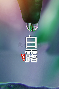 节气露水背景图片_白露传统24节气露水海报背景