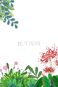 简约小清新白色背景图片_植物花朵叶子白色简约小清新背景