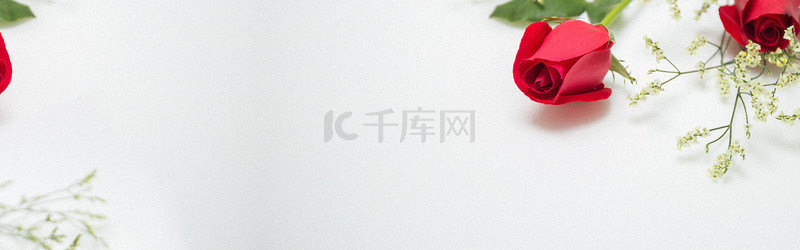 唯美玫瑰叶子白色清新banner