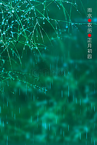 雨水24节气草叶水珠下雨背景图片