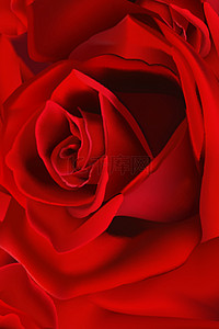 情人节玫瑰红玫瑰背景