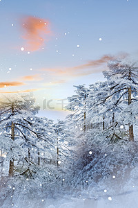 简约24节气大雪传统节气初冬背景