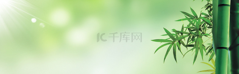 植物竹子绿色清新banner