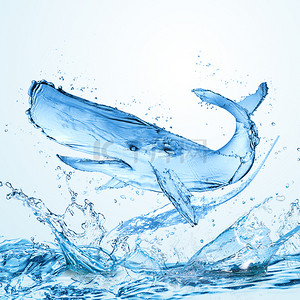 夏天海豚海水蓝色电商背景