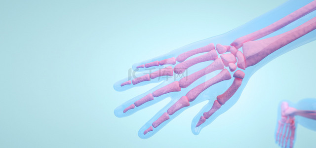 人体医疗背景图片_人体手掌骨骼图片