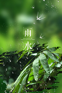 清绿叶背景图片_简约雨水节气绿叶背景