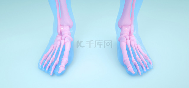 人体医疗背景图片_人体脚部骨骼正面图片