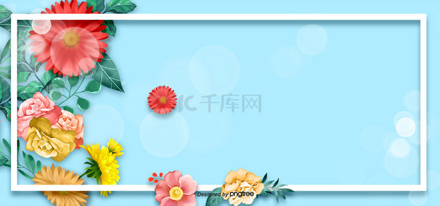春天的花朵花卉植物蓝色边框背景