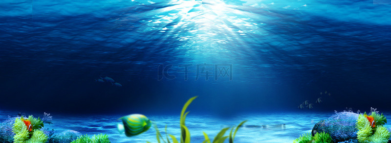 珊瑚背景背景图片_蓝色深海海底banner海报背景