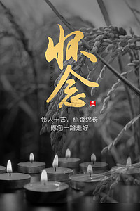 怀念背景图片_怀念袁隆平蜡烛灰色