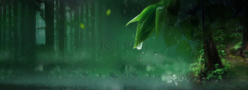 绿叶水珠背景图片_苍翠欲滴的丛林banner海报背景
