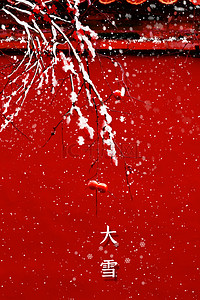 冬天红梅红墙大雪节气背景