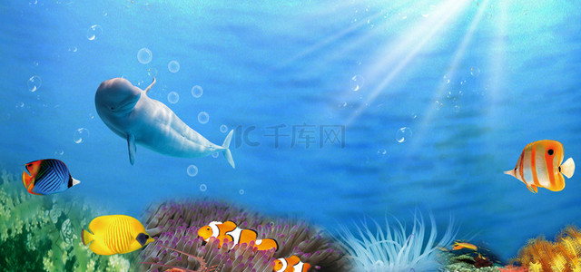 质感海洋背景图片_世界海洋日banner背景