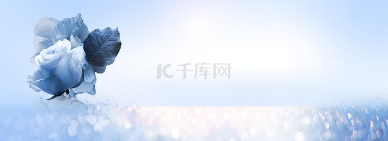 简约蓝色玫瑰花植物banner电商海报