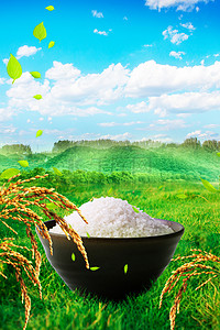 绿色食品清新背景图片_清新大米自然背景