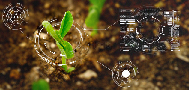 农业科技绿色合成植物背景