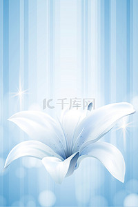 花朵简约海报背景背景图片_植物精华护肤海报背景