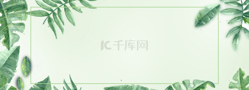 清新海报banner背景图片_简约小清新绿叶banner海报背景