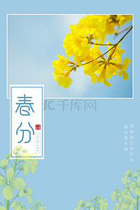 蓝色节气海报背景图片_二十四节气春分清新蓝色海报背景