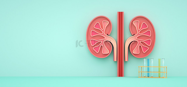 健康背景图片_c4d简约绿色医疗人体器官肾