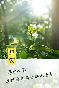 清新绿植背景图片_小清新绿芽早安图片