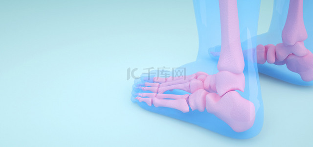 人体医疗背景图片_人体脚部后面骨骼图片