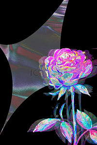 七夕情人节设计背景图片_酸性玫瑰花黑色个性荧光
