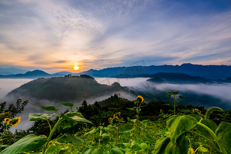 云雾日出摄影照片_安徽坡山日出风景夏天日出云雾户外高视角摄影图配图