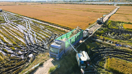 秋收丰收稻谷收割机械装车农业
