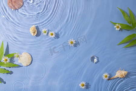 夏狂暑季摄影照片_夏季水池白天水波纹室内静物摆拍摄影图配图