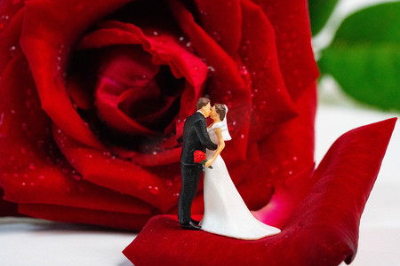 情人节白天玫瑰花和小人室内婚纱摄影图配图