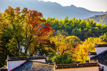 秋日风景上午村庄山区飘动摄影图配图