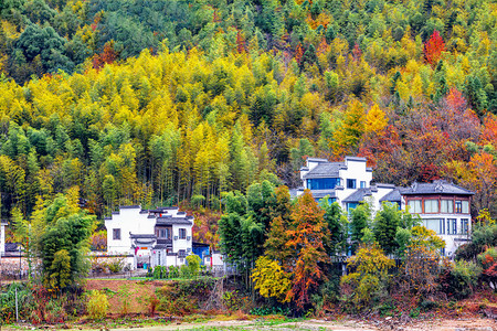秋季风景上午房屋山区摇动摄影图配图