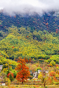 秋季风景早上房屋山区摇动摄影图配图